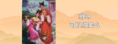 驸马可以纳妾么_稗官野史 菊江历史网