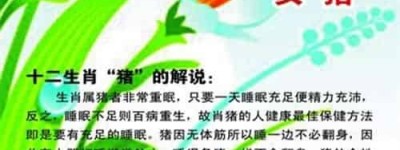 为何十二生肖中猪排最末位？_上古历史 菊江历史网