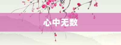 心中无数【心中无数的意思】- 成语大全