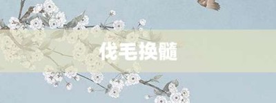 伐毛换髓【伐毛换髓的意思】- 成语大全