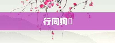 行同狗豨【行同狗豨的意思】- 成语大全