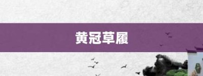 黄冠草履【黄冠草履的意思】- 成语大全