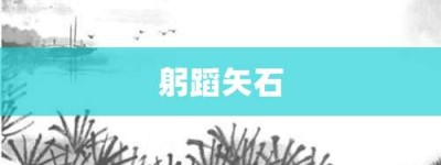 躬蹈矢石【躬蹈矢石的意思】- 成语大全