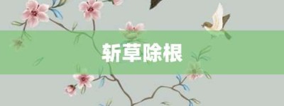 斩草除根【斩草除根的意思】- 成语大全