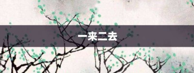 一来二去【一来二去的意思】- 成语大全