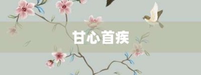 甘心首疾【甘心首疾的意思】- 成语大全