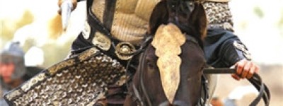 杨延平简介_杨延平的儿子_杨延平的故事_杨延平怎么死的 菊江历史网