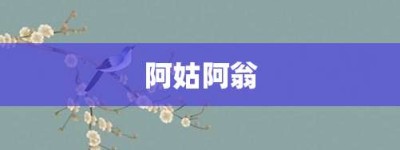 阿姑阿翁【阿姑阿翁的意思】- 成语大全