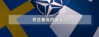 芬兰是北约国家吗_世界近代史 菊江历史网