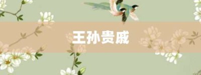 王孙贵戚【王孙贵戚的意思】- 成语大全