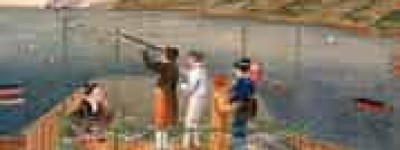 兰学简介，兰学是什么 菊江历史网