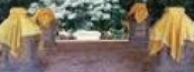 苏丹阿拉乌丁.利亚沙_世界古代史 菊江历史网