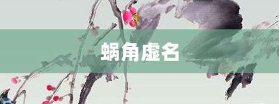 蜗角虚名【蜗角虚名的意思】- 成语大全