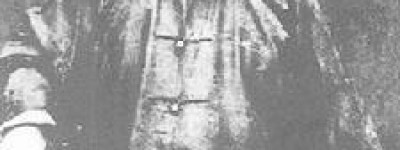 冯子材简介_冯子材的儿子_冯子材的故事_冯子材怎么死的 菊江历史网