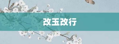 改玉改行【改玉改行的意思】- 成语大全