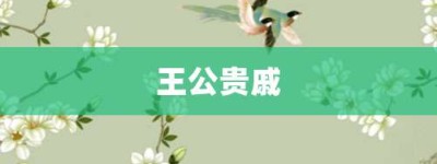 王公贵戚【王公贵戚的意思】- 成语大全