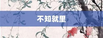 不知就里【不知就里的意思】- 成语大全