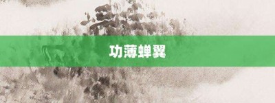 功薄蝉翼【功薄蝉翼的意思】- 成语大全