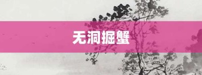 无洞掘蟹【无洞掘蟹的意思】- 成语大全