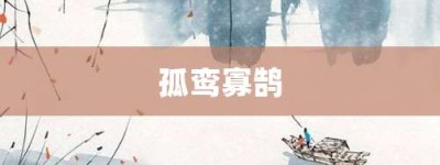 孤鸾寡鹄【孤鸾寡鹄的意思】- 成语大全