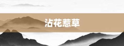 沾花惹草【沾花惹草的意思】- 成语大全