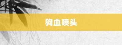 狗血喷头【狗血喷头的意思】- 成语大全