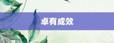 卓有成效【卓有成效的意思】- 成语大全