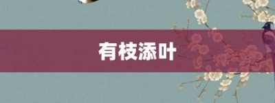 有枝添叶【有枝添叶的意思】- 成语大全