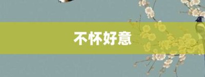 不怀好意【不怀好意的意思】- 成语大全