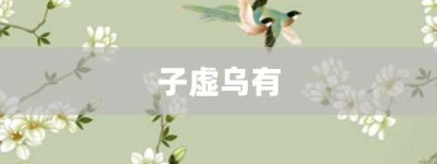 子虚乌有【子虚乌有的意思】- 成语大全