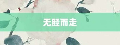 无胫而走【无胫而走的意思】- 成语大全