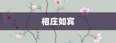 相庄如宾【相庄如宾的意思】- 成语大全