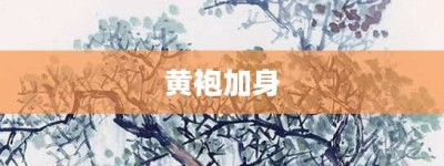 黄袍加身【黄袍加身的意思】- 成语大全