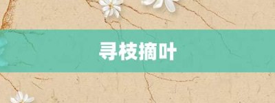 寻枝摘叶【寻枝摘叶的意思】- 成语大全