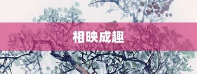相映成趣【相映成趣的意思】- 成语大全