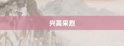 兴高采烈【兴高采烈的意思】- 成语大全