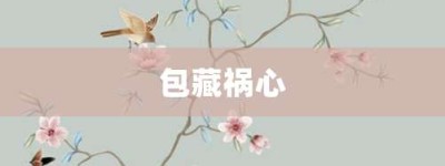 包藏祸心【包藏祸心的意思】- 成语大全