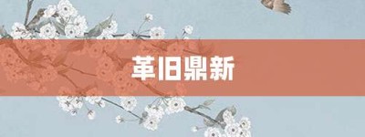 革旧鼎新【革旧鼎新的意思】- 成语大全