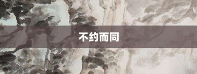 不约而同【不约而同的意思】- 成语大全