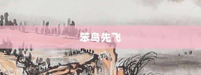 笨鸟先飞【笨鸟先飞的意思】- 成语大全