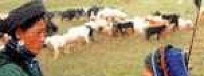 食俗_饮食文化 菊江历史网