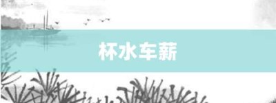 杯水车薪【杯水车薪的意思】- 成语大全