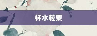 杯水粒粟【杯水粒粟的意思】- 成语大全