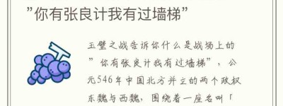 玉璧之战告诉你什么是战场上的 ”你有张良计我有过墙梯”_稗官野史 菊江历史网