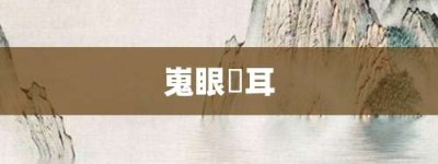 嵬眼澒耳【嵬眼澒耳的意思】- 成语大全
