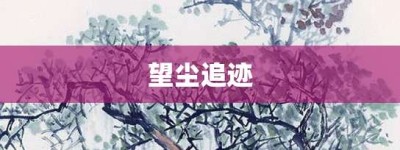 望尘追迹【望尘追迹的意思】- 成语大全