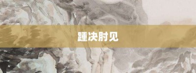 踵决肘见【踵决肘见的意思】- 成语大全