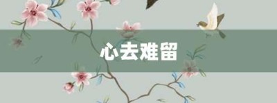 心去难留【心去难留的意思】- 成语大全