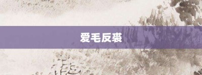 爱毛反裘【爱毛反裘的意思】- 成语大全