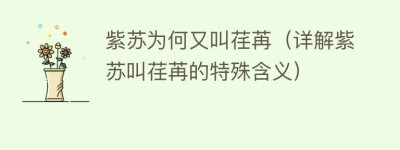 紫苏为何又叫荏苒（详解紫苏叫荏苒的特殊含义）_世界近代史 菊江历史网
